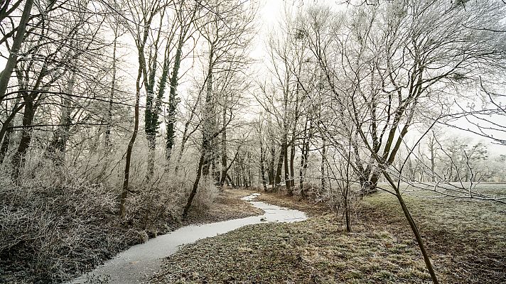 El tiempo - Cielo poco nuboso o despejado y heladas en zonas altas de la mitad norte