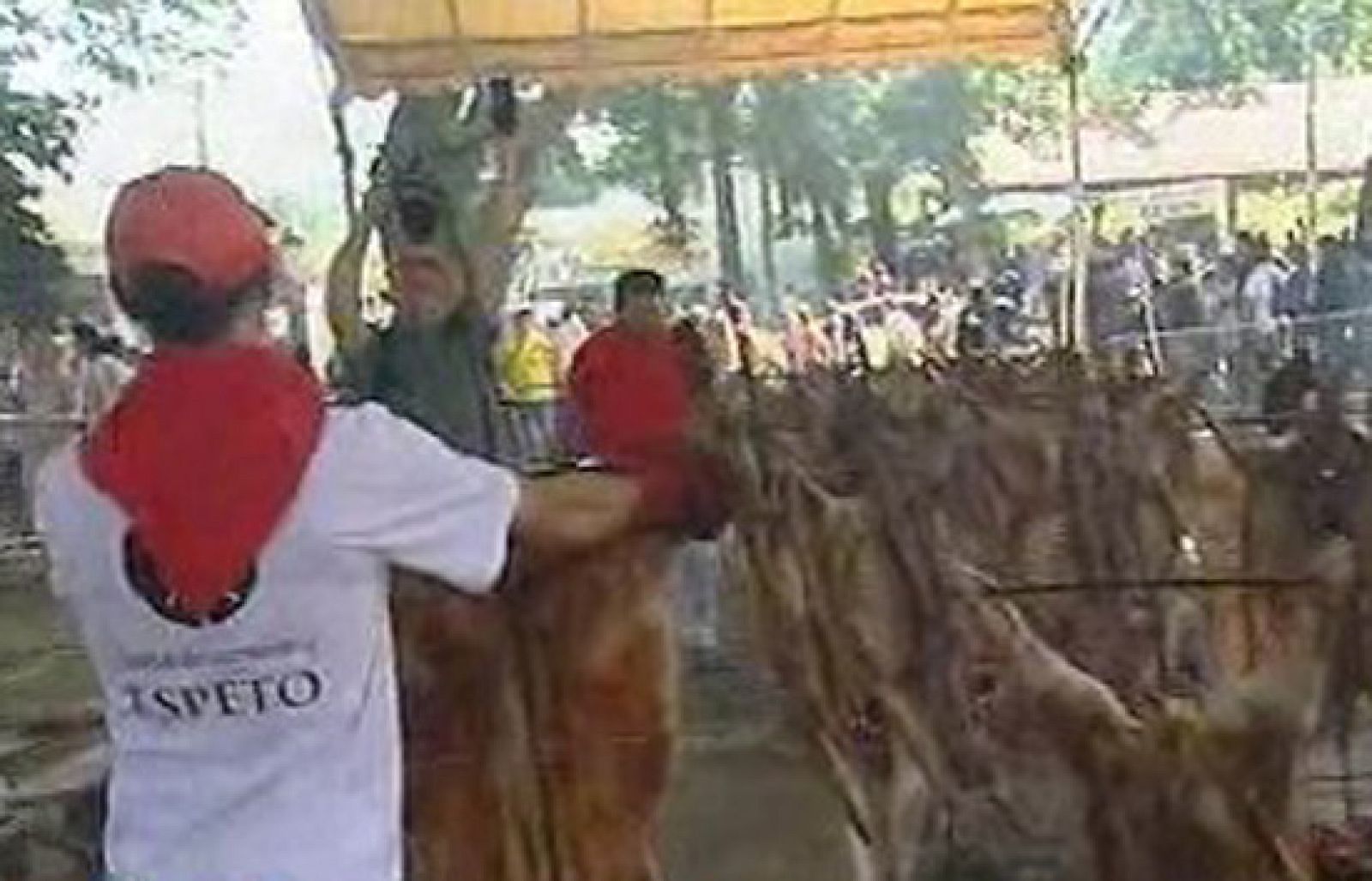 España Directo - La fiesta del cordero | Ver