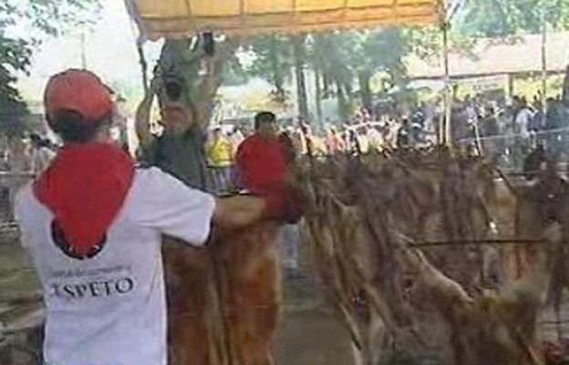 España Directo - La fiesta del cordero