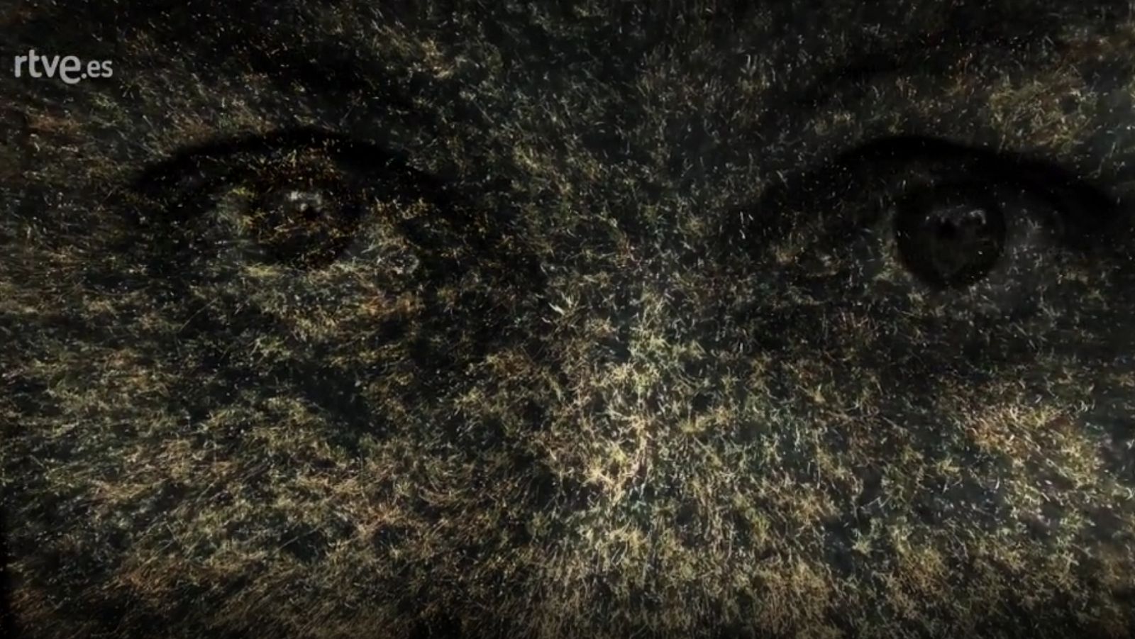 Palabra Voyeur - Poesía y locura. Leopoldo María Panero - Ver ahora