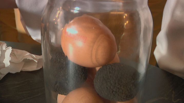 Aquí la Tierra - Saca todo el partido a la trufa con Resines