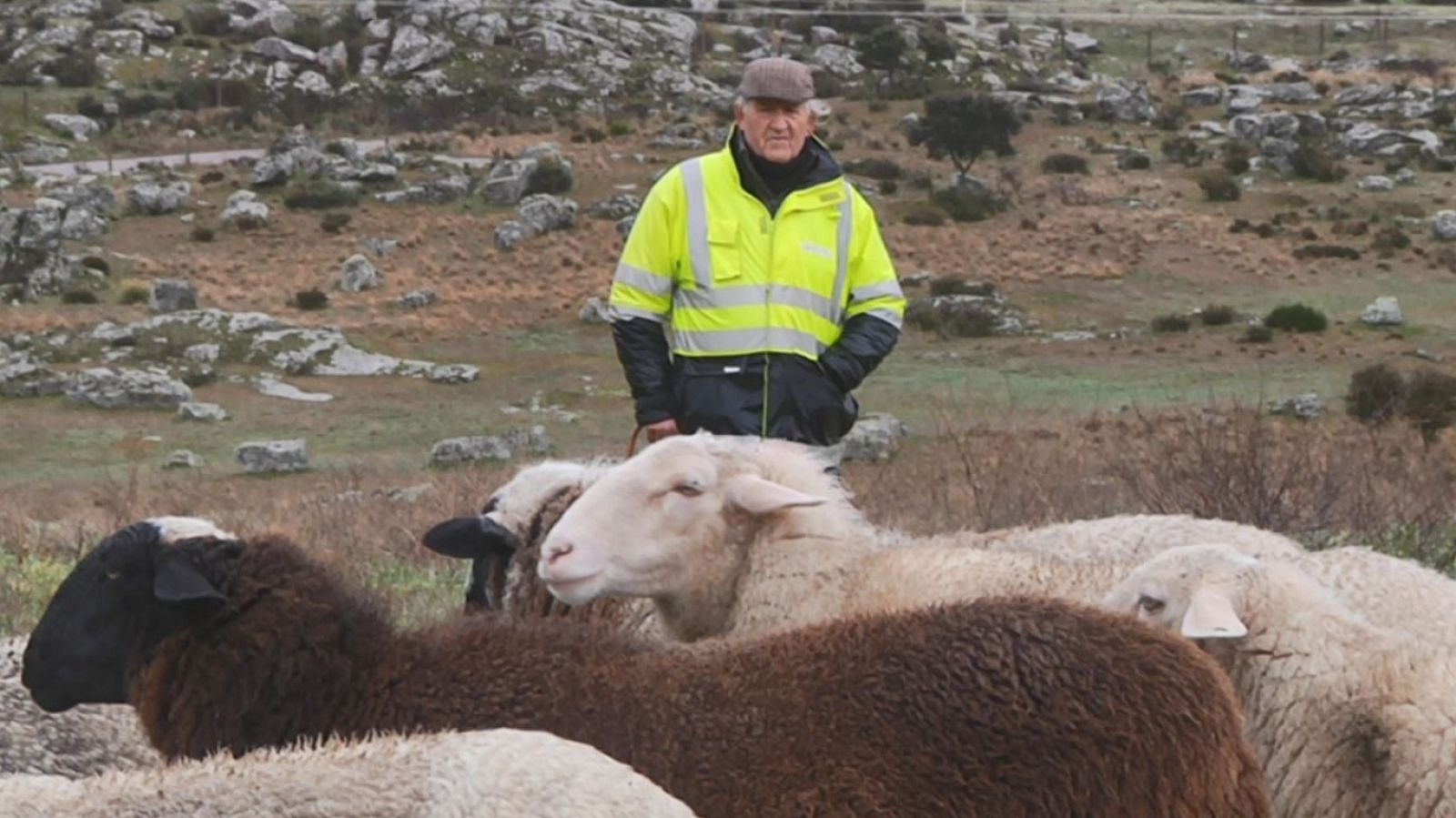 Aquí la Tierra - 19/02/20 - ver ahora