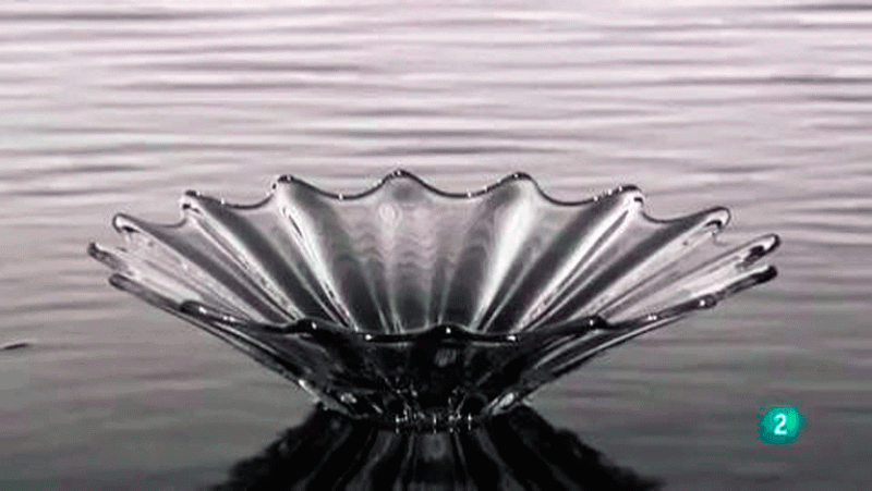 La aventura del saber Chema Madoz Real Jardín Botánico La naturaleza de las cosas