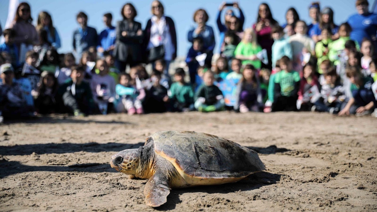 La Comunidad Valenciana en 2' - 20/02/20 - ver ahora