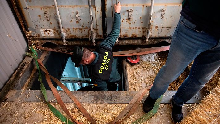 Telediario 1 - La Guardia Civil desmantela en Málaga la primera fábrica clandestina subterránea de tabaco