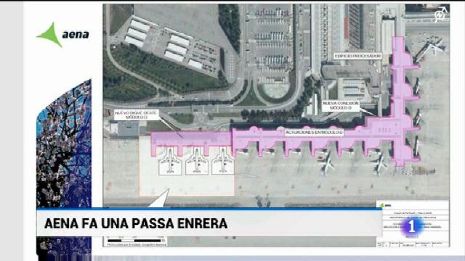 Informatiu Balear en 2' - 20/02/20