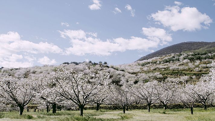 El tiempo - Poco nuboso o despejado en gran parte de España