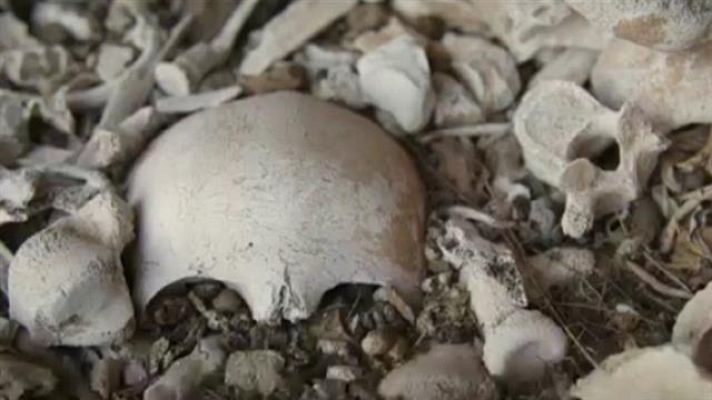 Telecanarias - Canarias en 2' - 20/02/2020