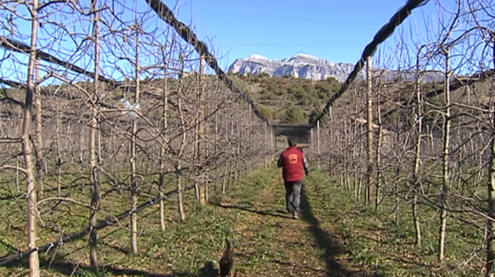 España en comunidad - España en Comunidad - 22/02/20