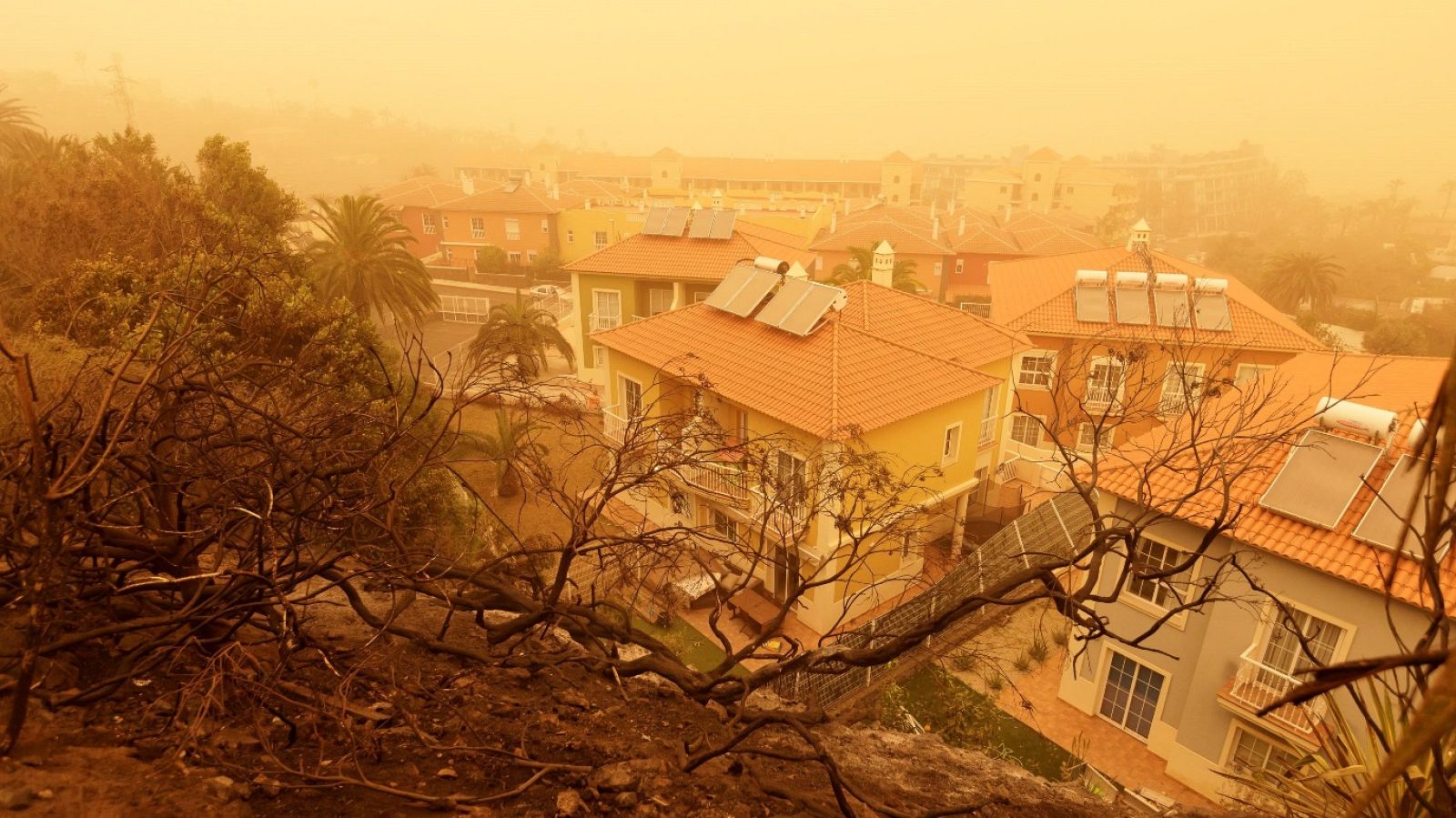 Telediario - 8 horas - 24/02/20 - Lengua de signos - ver ahora