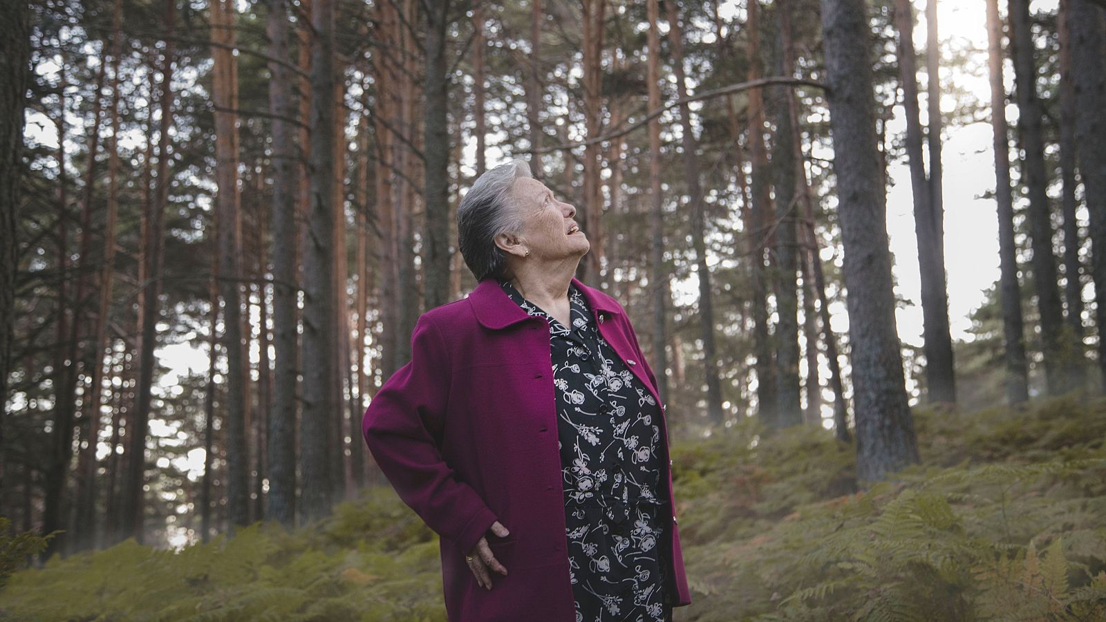 Cuéntame cómo pasó - Las primeras imágenes desvelan que Herminia se pierde en el bosque