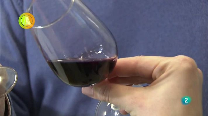 Agrosfera - vino ultrasonido