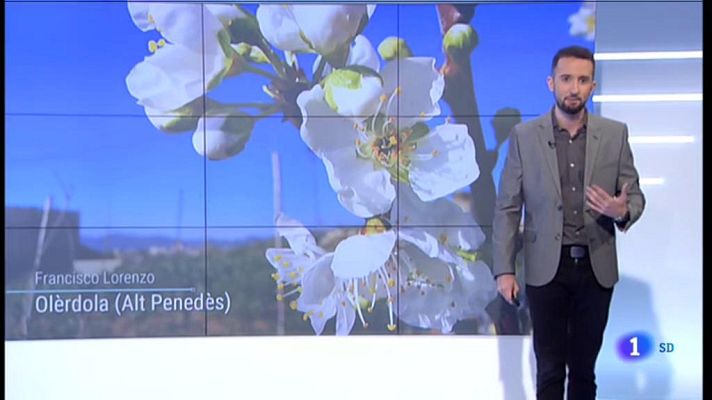 L'Informatiu - El Temps - 24/02/2020