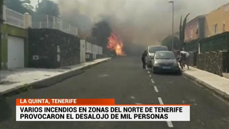 Cerca de ti - 24/02/2020