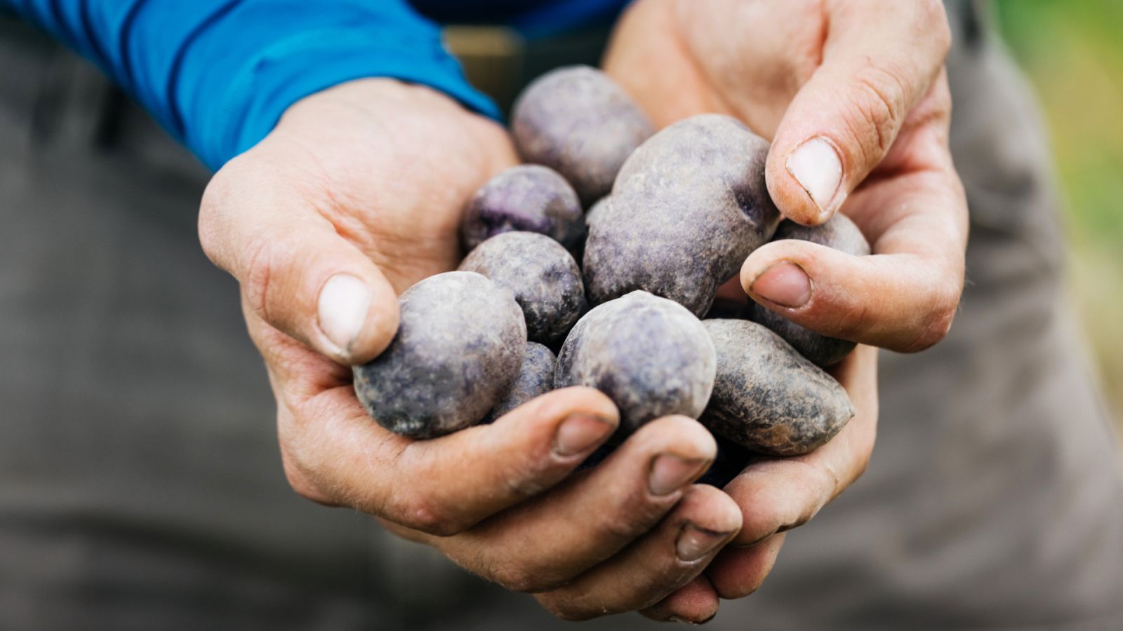 Comando Actualidad - La patata caliente
