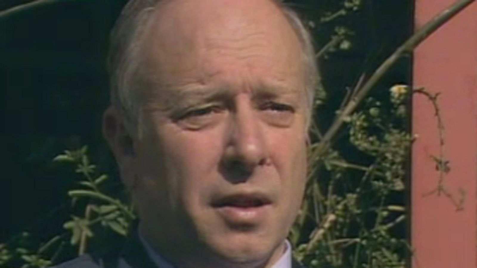 Querido pirulí - 9/3/1988 - Querido Pirulí | Ver