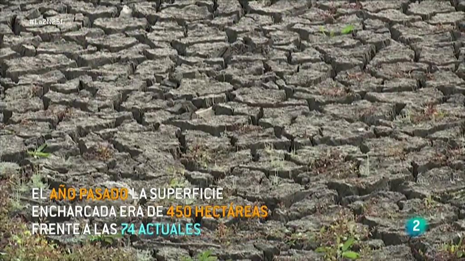 Emergencia en las Tablas de Daimiel