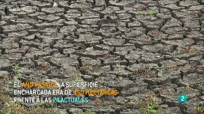 La 2 Noticias - Emergencia en las Tablas de Daimiel