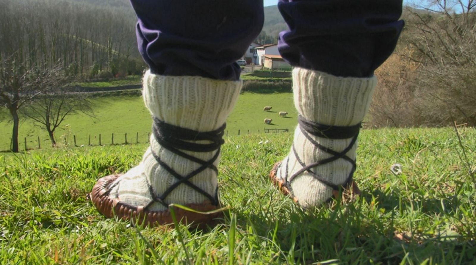 Aquí la Tierra - 26/02/20 - ver ahora