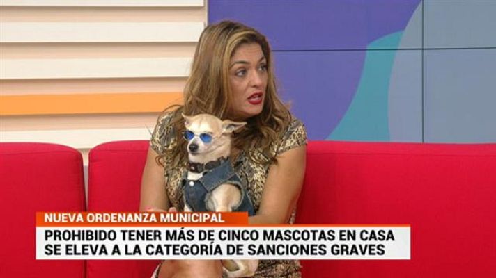 Cerca de ti - Cerca de ti - 27/02/2020