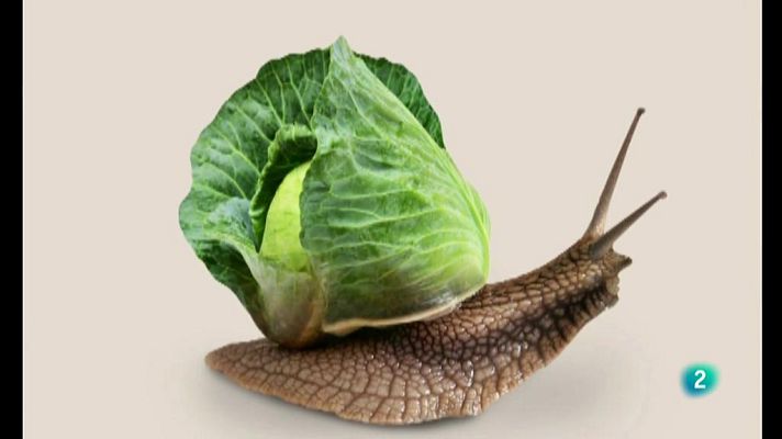 La aventura del Saber - Boek visual: Pablo García