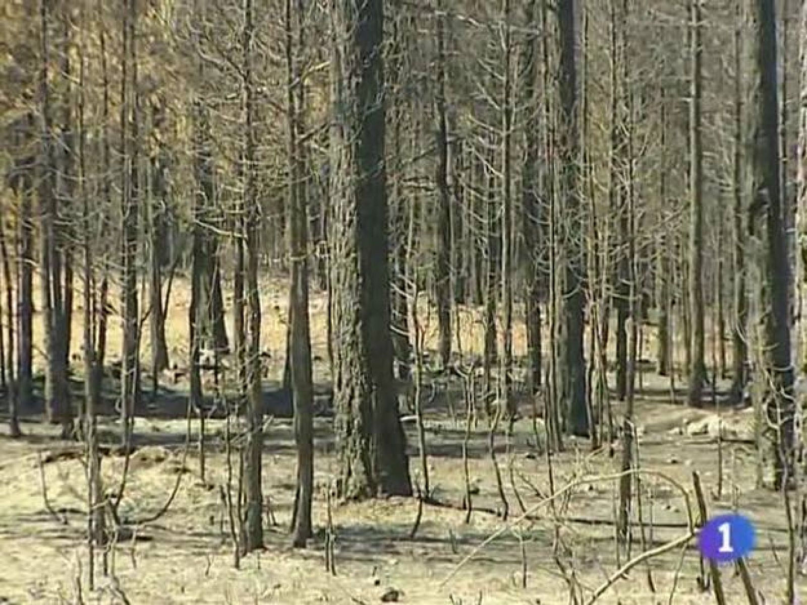 Noticias Castilla-La Mancha. Informativo de Castilla-La Mancha. (28/07/09)