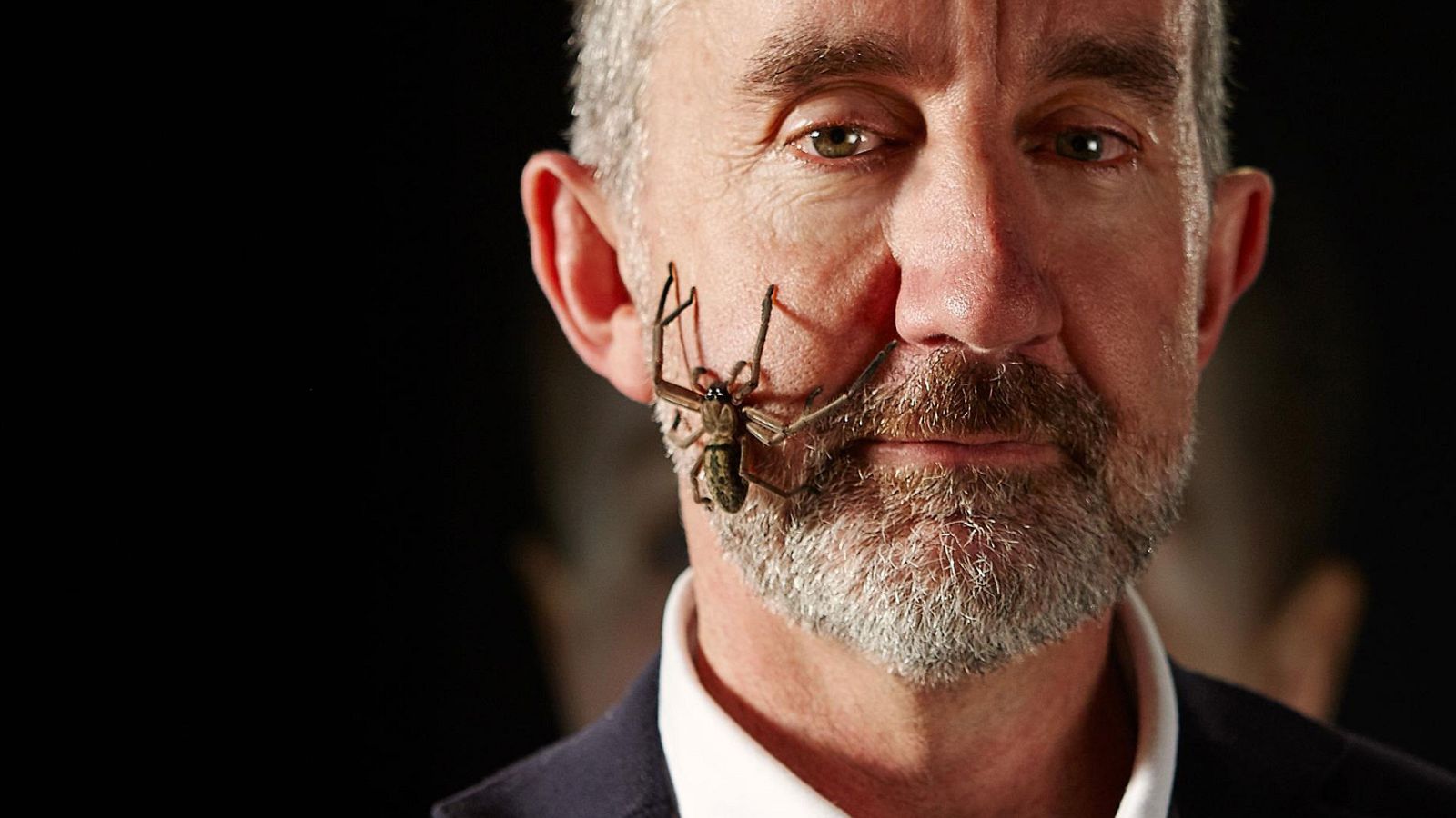 Documenta2 - La mente curiosa: El cerebro imperfecto - ver ahora