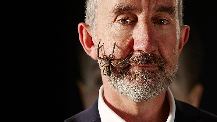 Documenta2 - La mente curiosa: El cerebro imperfecto