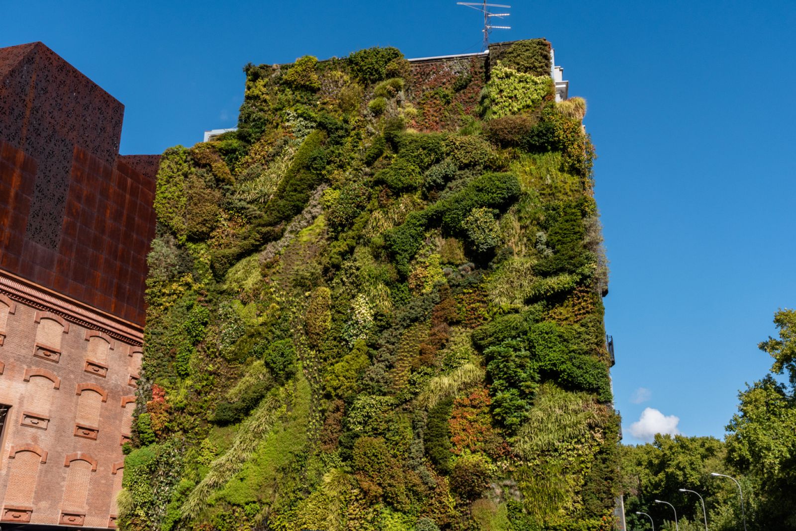 La moda de los jardines verticales - España Directo | Ver