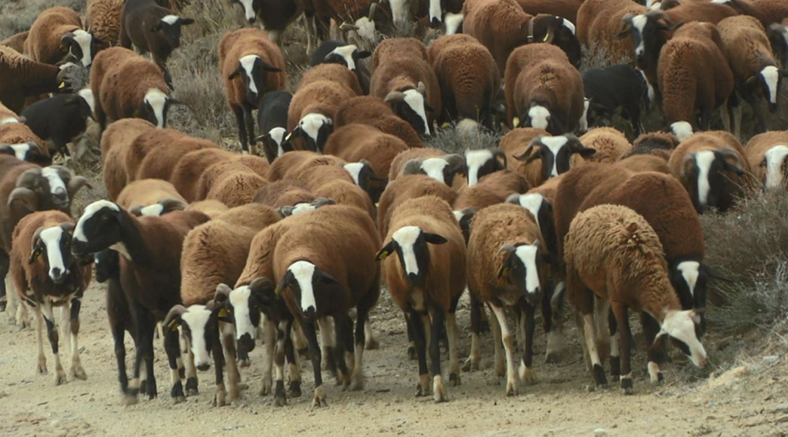 Aquí la Tierra - 27/02/20 - ver ahora