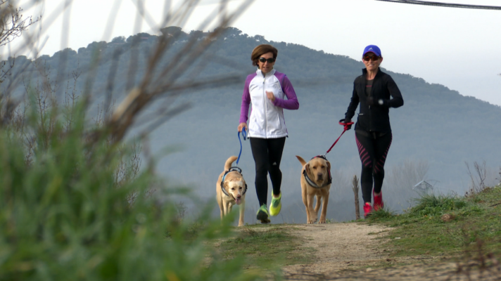 Saber vivir - Maribel Blanco