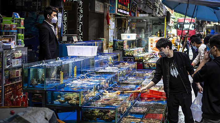 Telediario 1 - China castigará el tráfico de animales ilegales por la crisis del coronavirus