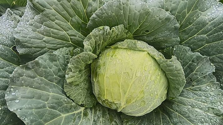 Aquí la Tierra - Aquí la Tierra - 28/02/20