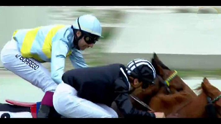 Hípica - Circuito Nacional de Carreras de Caballos