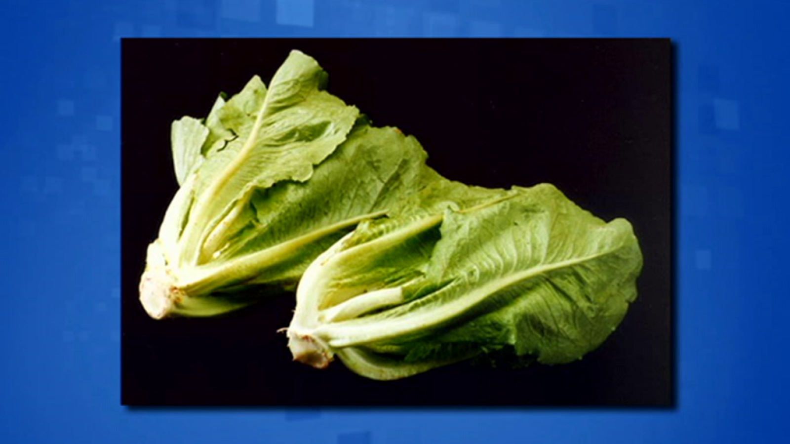 Saber y ganar. Edición fin de semana - 01/03/20 - ver ahora