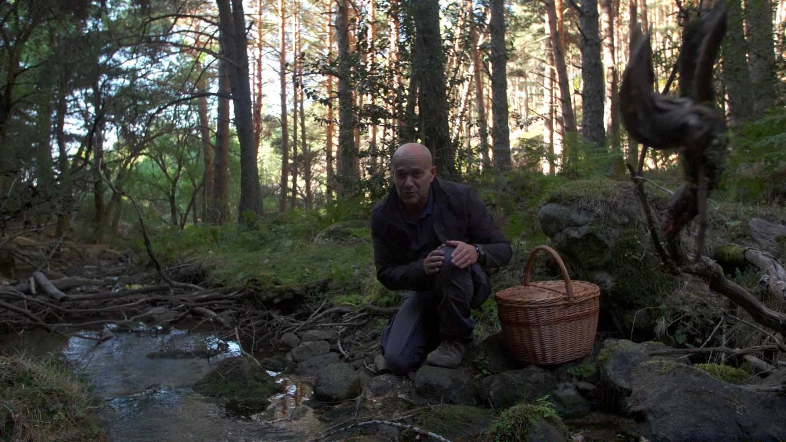 El señor de los bosques - Braojos de la Sierra (Madrid) - ver ahora