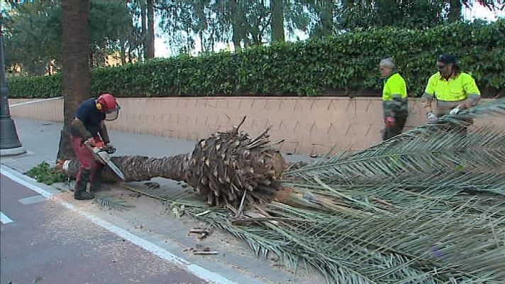L'informatiu - Comunitat Valenciana - La Comunidad Valenciana en 2' - 02/03/20