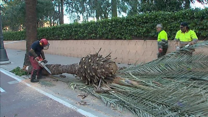 La Comunidad Valenciana en 2' - 02/03/20 - ver ahora