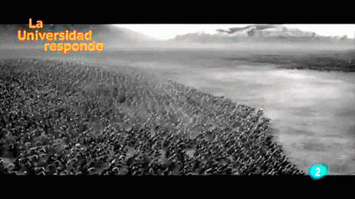 La aventura del Saber - ¿Qué hay de Historia en las series, películas y novelas?