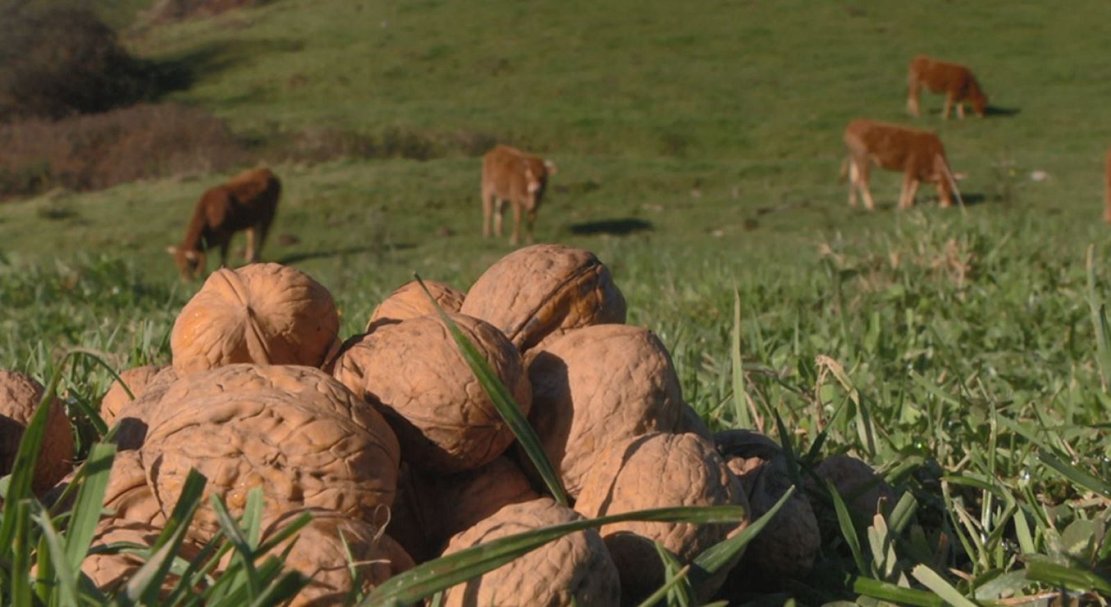 Aquí la Tierra - 03/03/20 - ver ahora