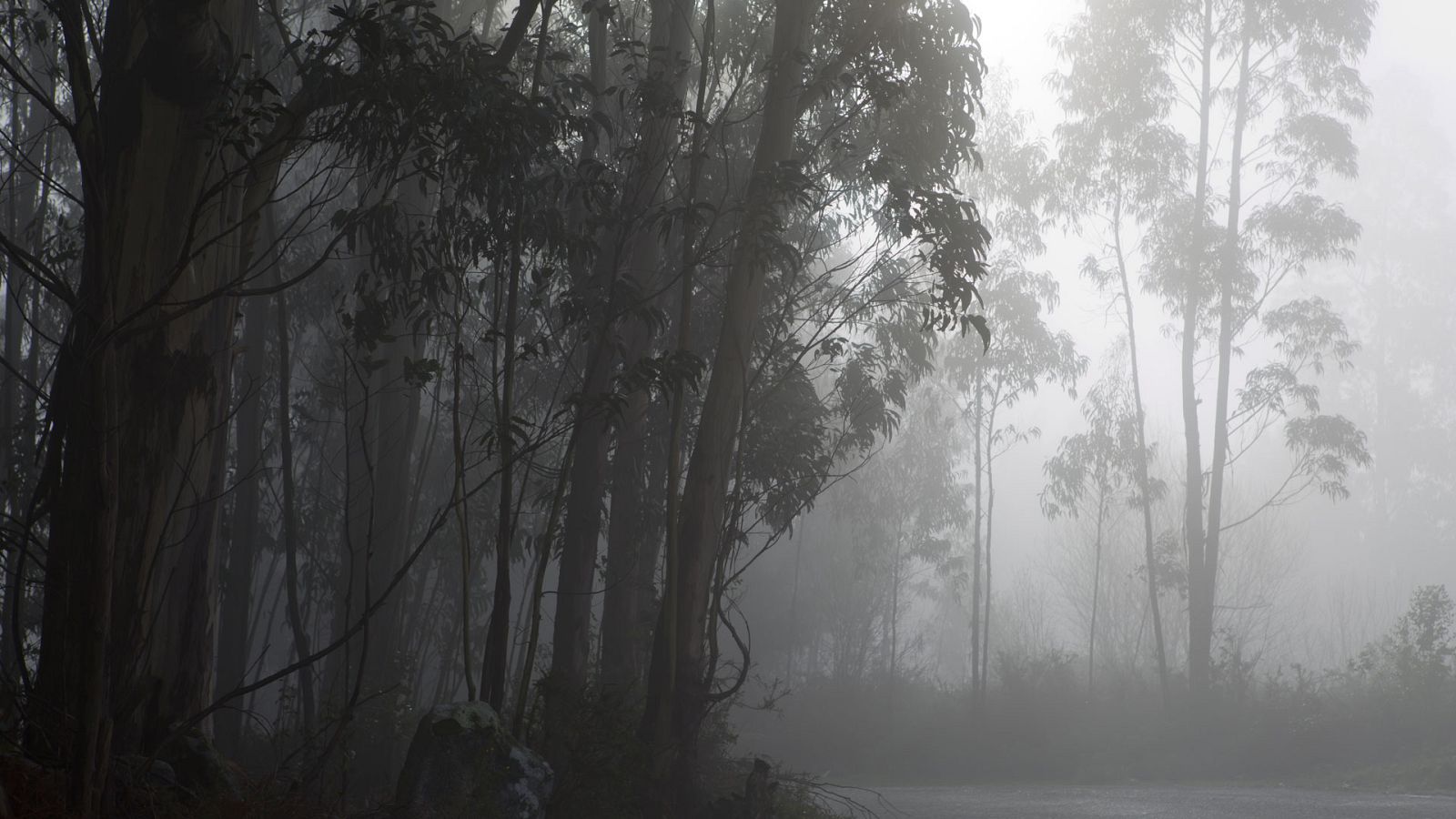 Precipitaciones localmente persistentes en el oeste de Galicia - ver ahora