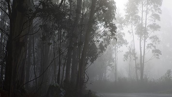 El tiempo - Precipitaciones localmente persistentes en el oeste de Galicia