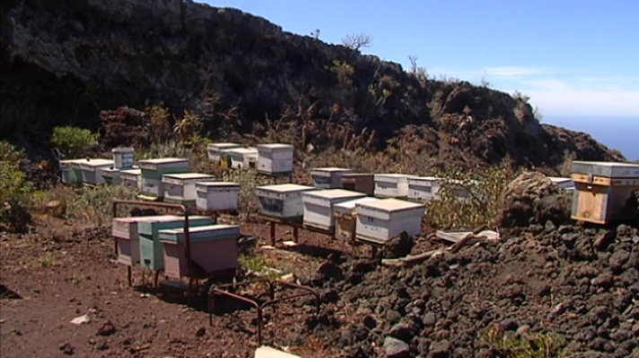 Telecanarias - Telecanarias 2 - 05/03/2020