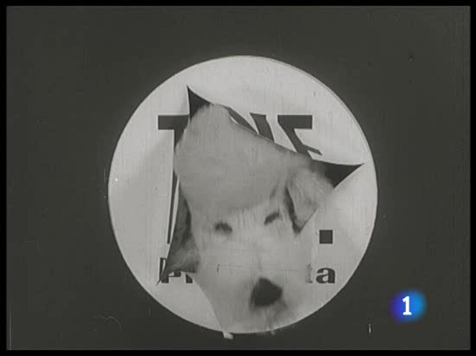 El archivo de TVE sale a la calle en una exposición itinerante | Ver