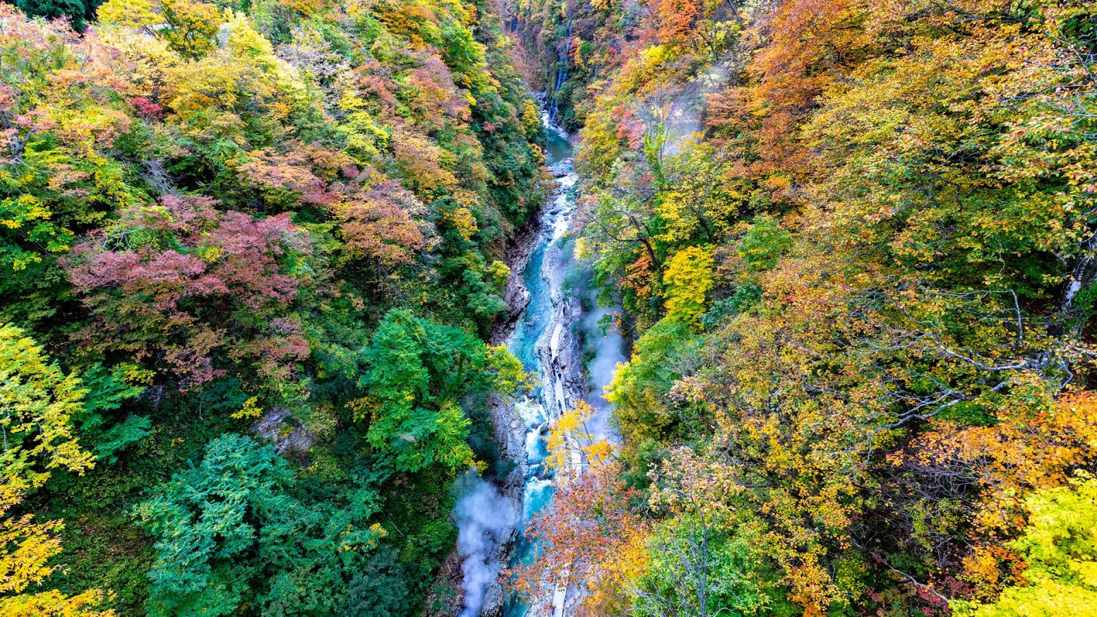 Grandes documentales - Tohoku, el Japón salvaje - ver ahora