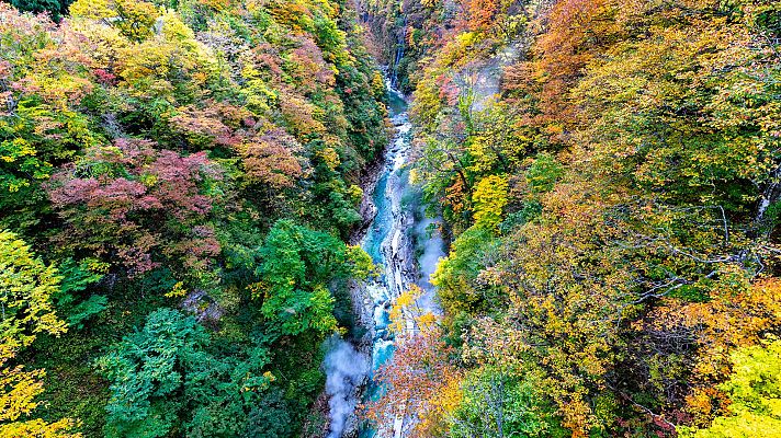 Grandes documentales - Tohoku, el Japón salvaje