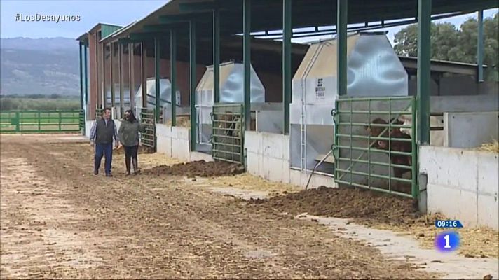 RTVE Igualdad - Mujeres rurales, mucho por hacer