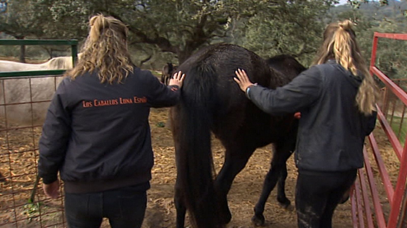 Agrosfera - 07/03/20 - ver ahora