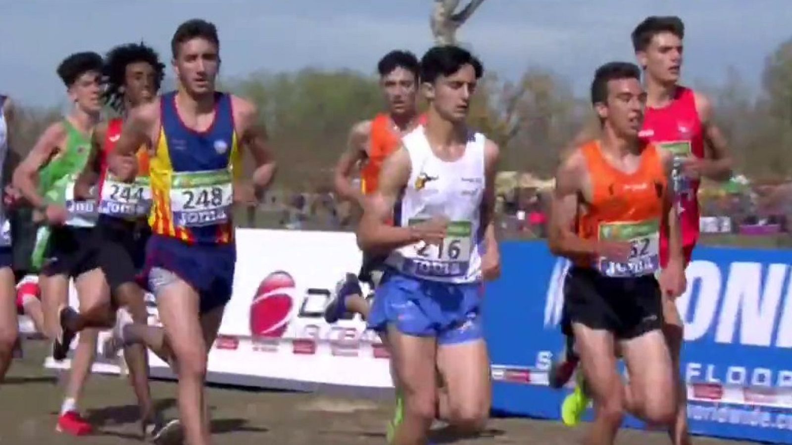 Cross - Campeonato de España. Carrera Sub-20 Masculina - ver ahora