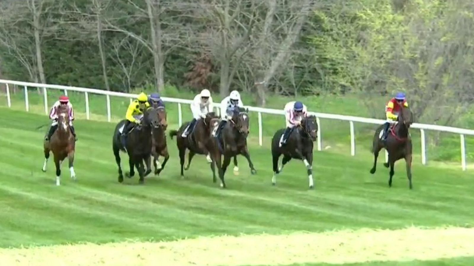 Hípica - Circuito Nacional de carreras de caballos - ver ahora
